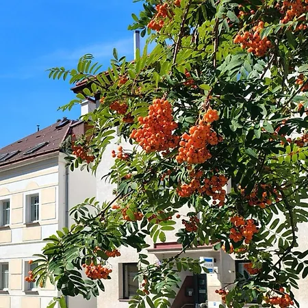 Ubytkostka By Interhome Rokytnice nad Jizerou